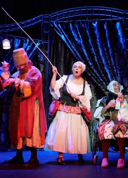 Спектакль «Единственный наследник»