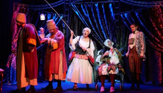 Спектакль «Единственный наследник»