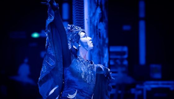 Балет «Лебединое озеро»