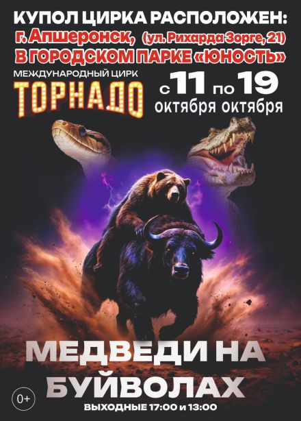 Цирк-шапито «Торнадо». Шоу «Медведи на буйволах», Апшеронск