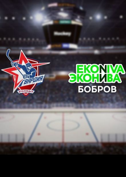 Хоккей. ХК «Гвардия» — ХК «ЭкоНива-Бобров»