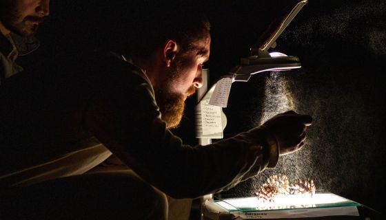 Спектакль «Я умер от варенья»