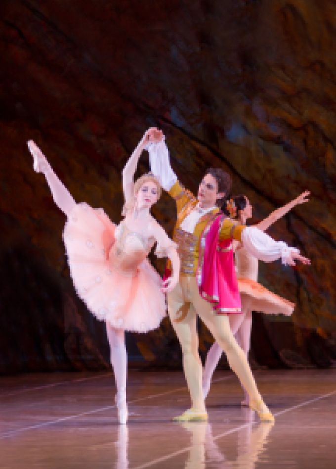 Спящая Красавица