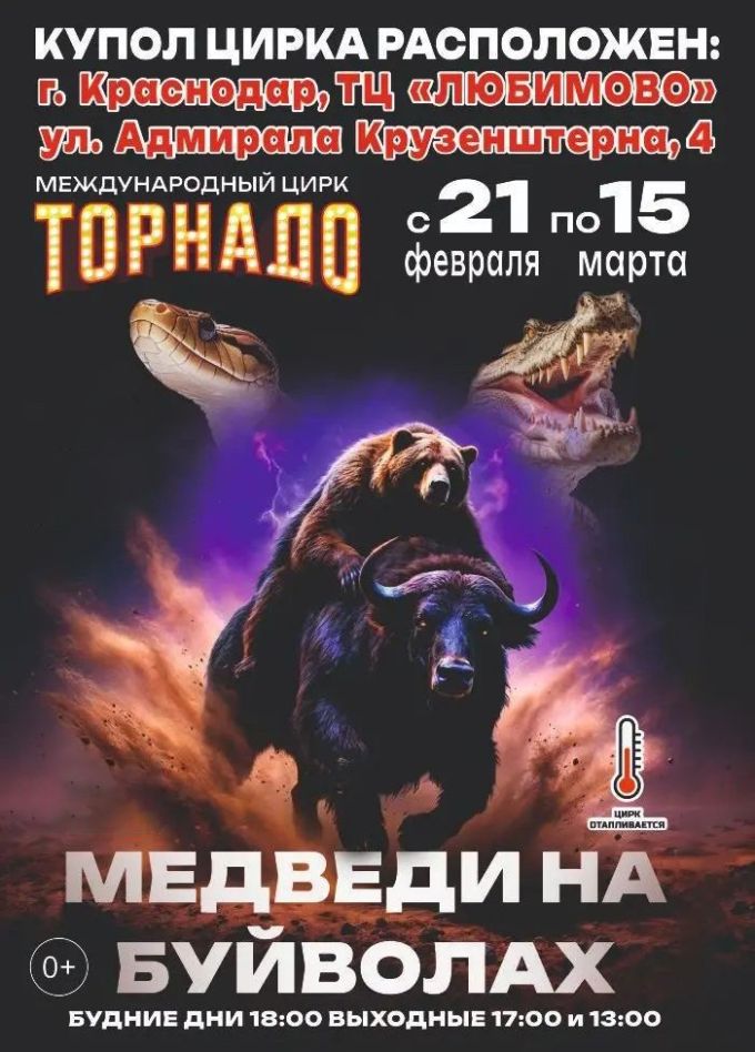 Цирк-шапито «Торнадо». Шоу «Медведи на буйволах»