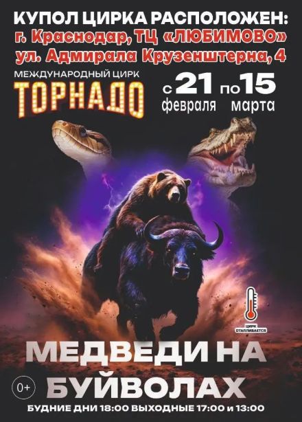 Цирк-шапито «Торнадо». Шоу «Медведи на буйволах»
