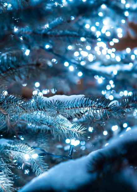 Тайна третьей планеты