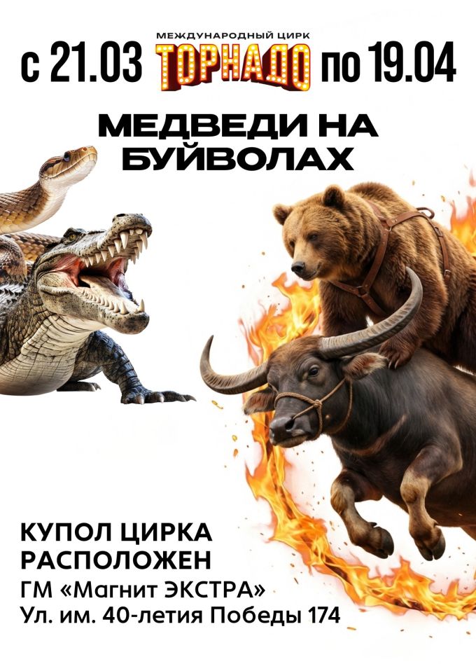 Цирк-шапито «Торнадо». Шоу «Медведи на буйволах»