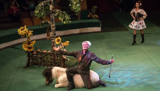 Цирк-шапито «Торнадо». Шоу «Медведи на буйволах»