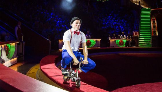 Цирк-шапито Владимира Дерябкина «Время идти в цирк»