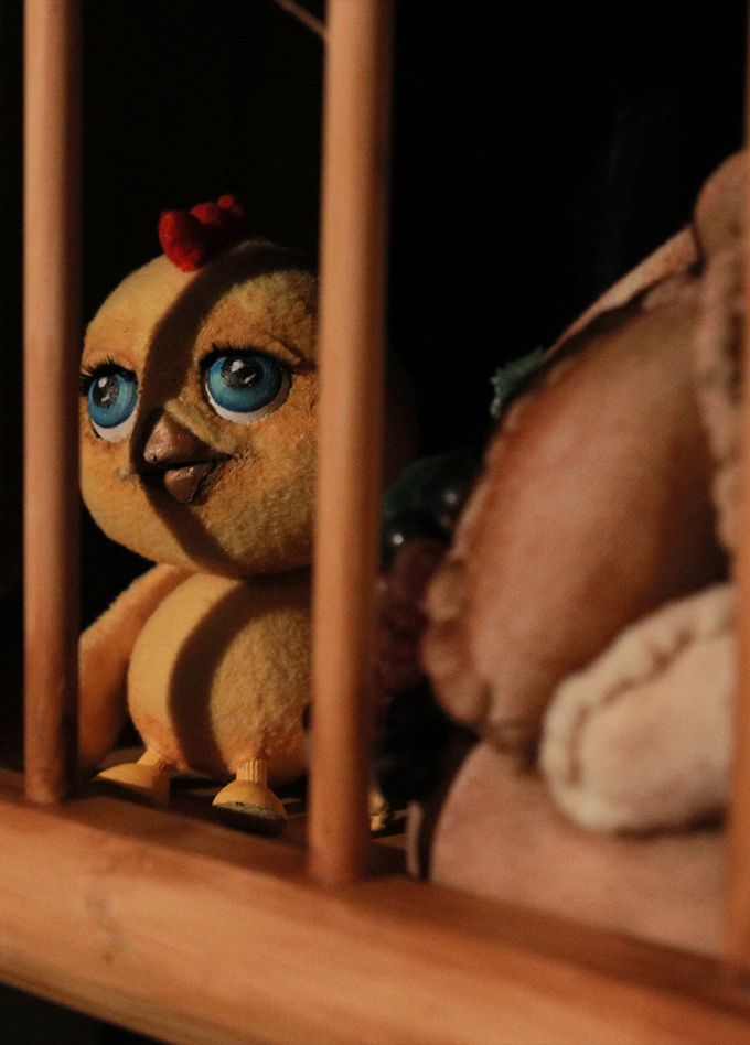 Золотой цыплёнок