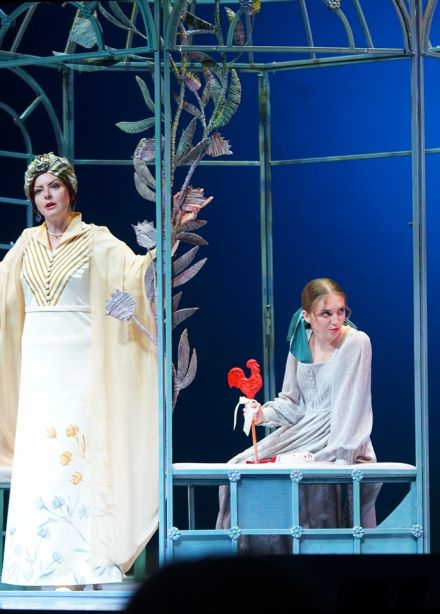 Не всё коту масленица