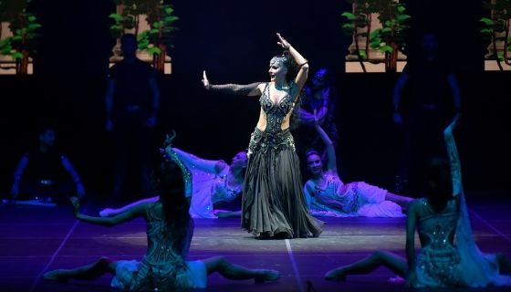 Шоу «Огни Анатолии»