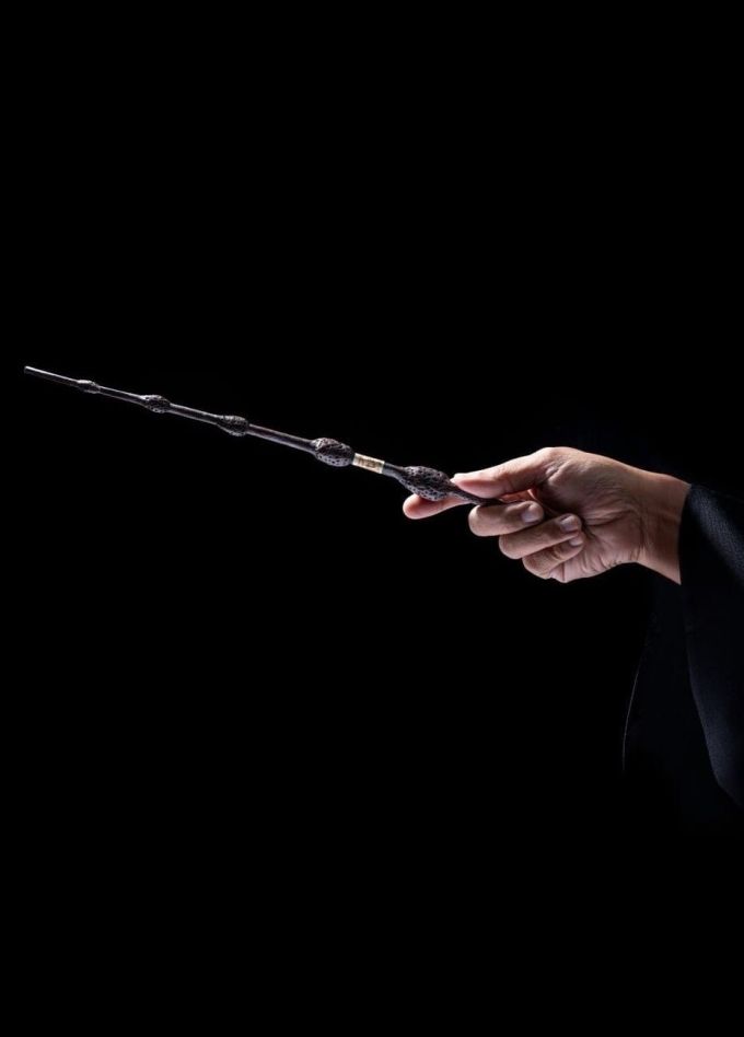 Оркестр Sonorus. Гарри Поттер