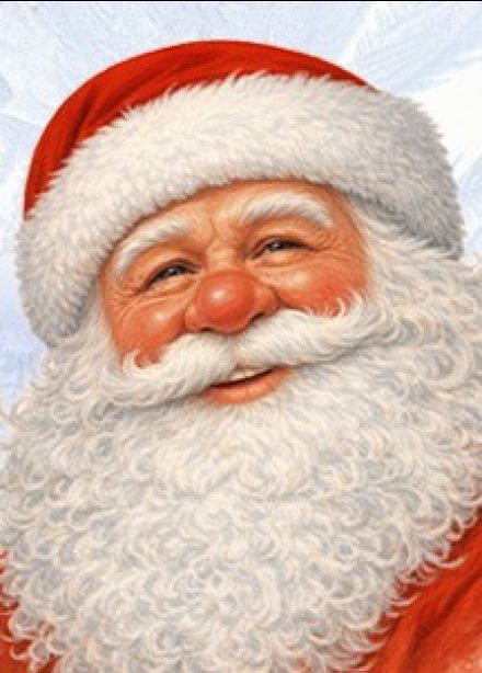 Ледовое шоу «Тайна семьи Деда Мороза»