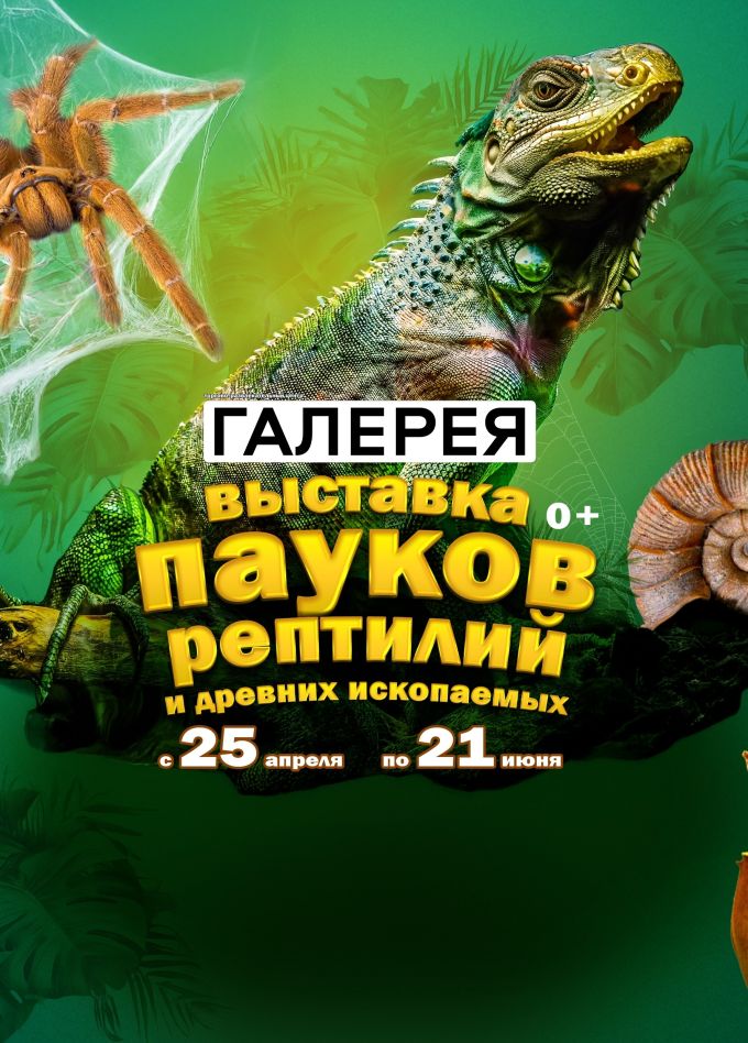 Выставка пауков и рептилий «Тайна паутины»