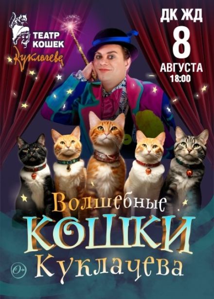 Владимир Куклачев. «Волшебные кошки Куклачева»